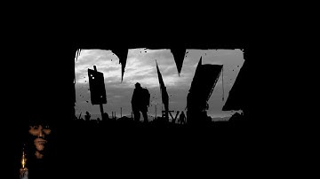 DayZ - Hacker dance