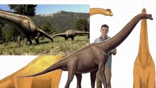 Dinosaur Discoveries Coprolites