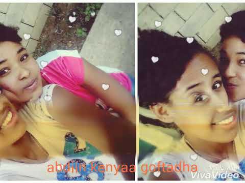 Asii Genyee Homa Hin Tanuu Harka Kenyasi Hin Lanu 