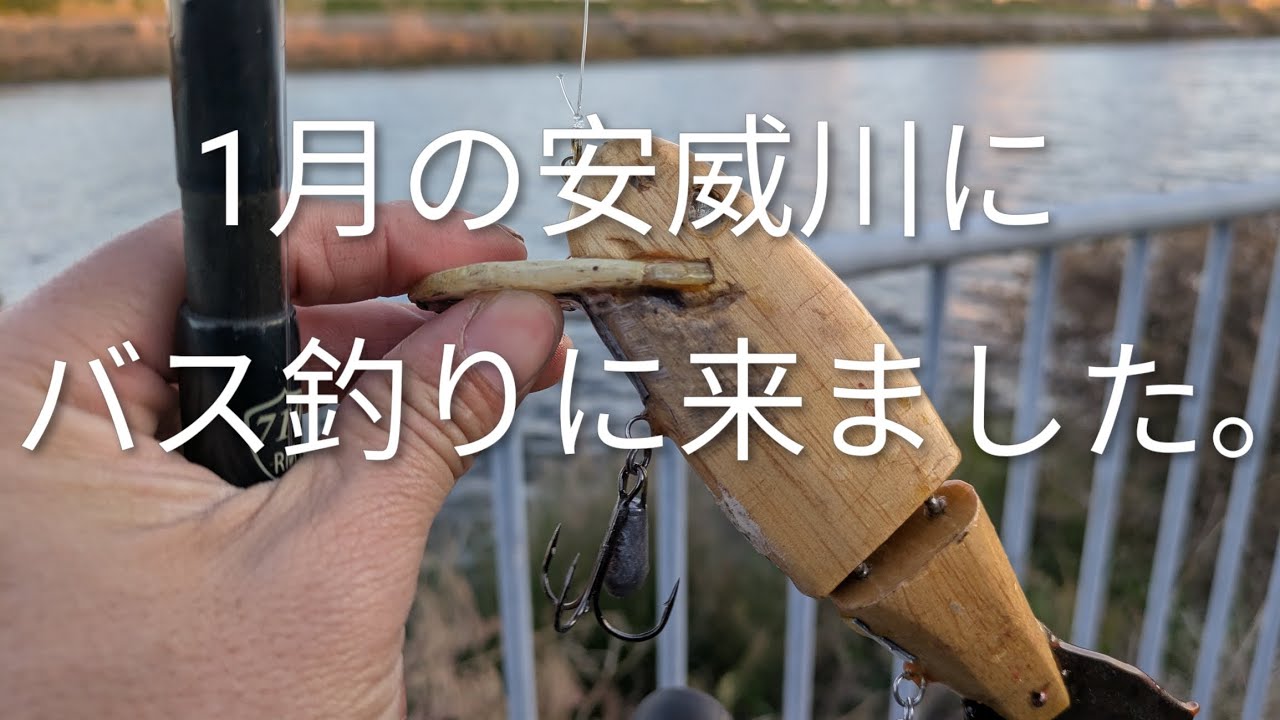 1月の安威川にバスを狙いに来ました。