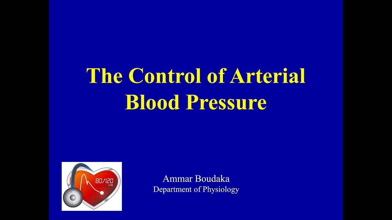 The Control of Arterial Blood Pressure YouTube