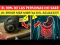 💀 Los 6 errores mortales del aguacate que el 99% comete sin saberlo