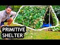 AVERAGE GUY BUILDS PRIMITIVE HUT AND SLEEPS IN IT | QUARANTINE CHALLENGE EPISODE 4