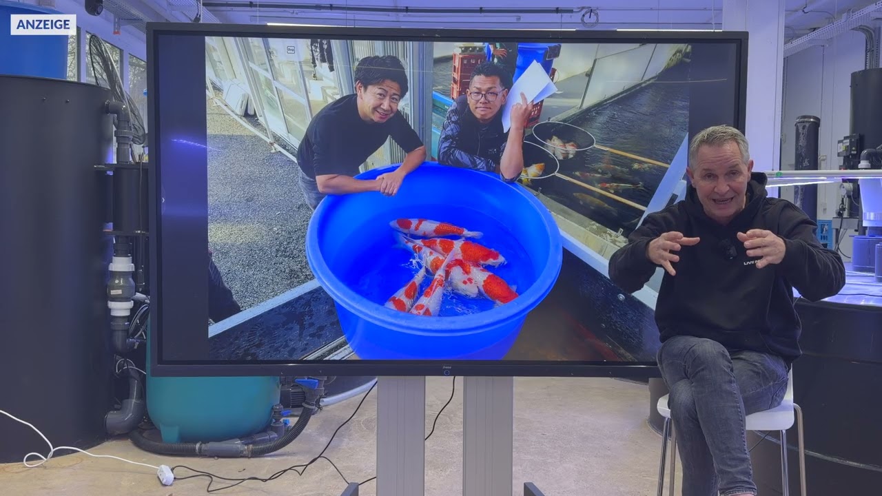 Helfen Oxidatoren bei Stromausfall in Innenhälterungen ? | Modern Koi Blog #7847