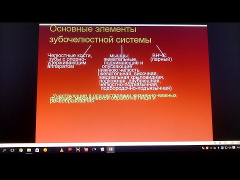 Понятие об артикуляции, центральной окклюзии и центральном соотношении.