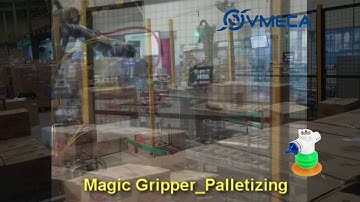 VMECA Magic Gripper Carton Box Handling