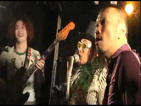 本能のナンバー (LIVE)  / The Yutaro Band