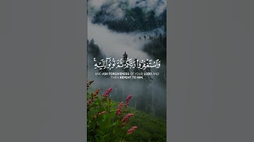 واستغفروا ربكم ثم توبوا اليه ان ربى رحيم ودود) سورة هود قارئ #ماهر_المعيقلي