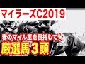 【マイラーズカップ2019】開幕週で高速決着は濃厚！この条件なら！！