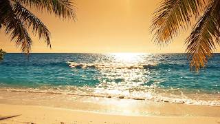 10 Hours of Ocean Waves on a Hot Beach | Summer Relaxation & Sleep Sounds | The Quiet Layer
