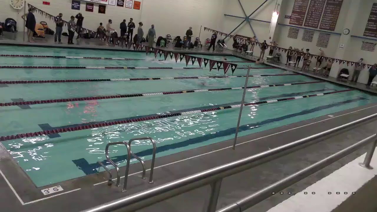 Danville /boys Swimming 2/11 YouTube