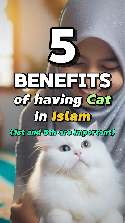 5 Benefits of having Cat in Islam , #shorts #viral #cat #islam