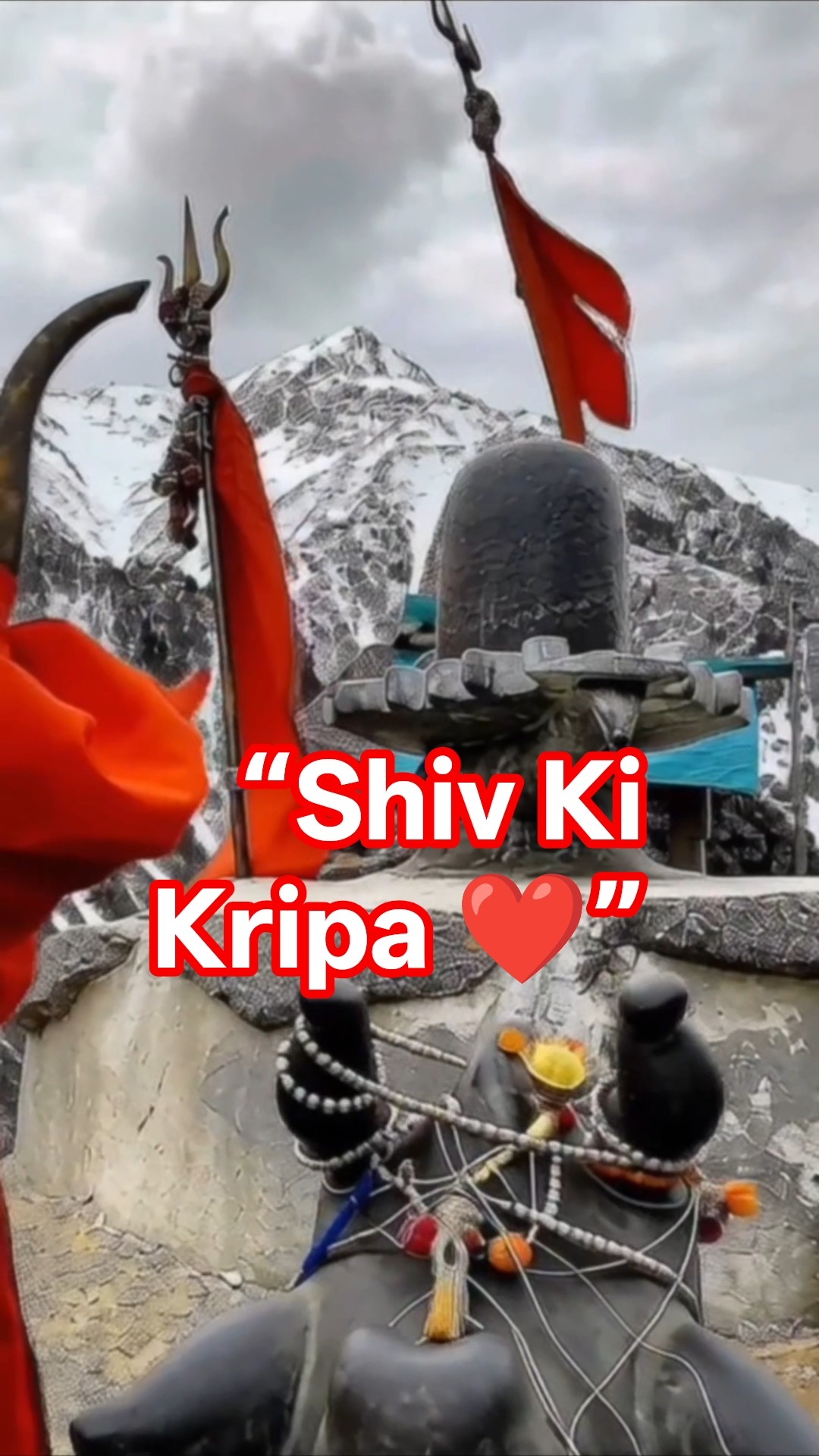 🌞 Good Morning🌞 - ShareChat