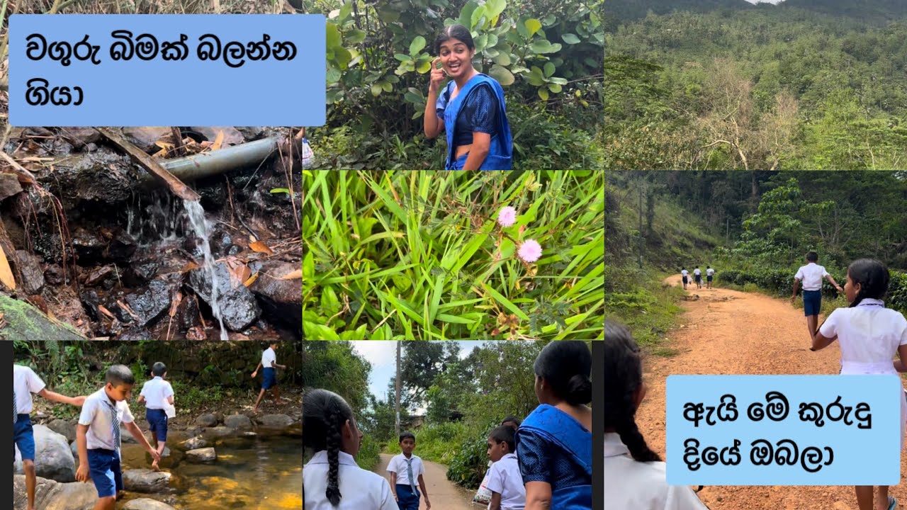 වගුරු බිම බලලා එද්දි දැක්ක දියේ පොගවන කුරුදු කතාව... 