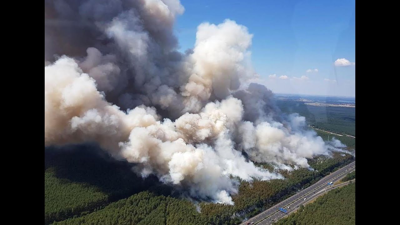 Waldbrand bei Arzberg: Unterstützung vom THW aus Bayern | MDR um Zwei | MDR