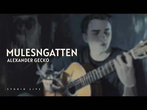 ALEXANDER GECKO - MULENSGATTEN (Studio Live)