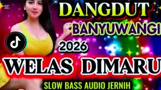 Welas Dimaru Tembang Banyuwangian Terpopuler 2026 Paling Banyak Dicari 