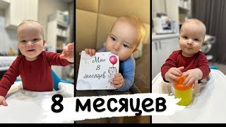 Baby update 8 месяцев | посуда для прикорма | что кушает Максим