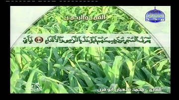 سورة الرحمن :: محمد شعبان أبو قرن Almajd3 HD