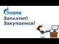 Газпром заплатит дивиденды! Стоит ли покупать акции сейчас? Результаты по инвестиционному портфелю.