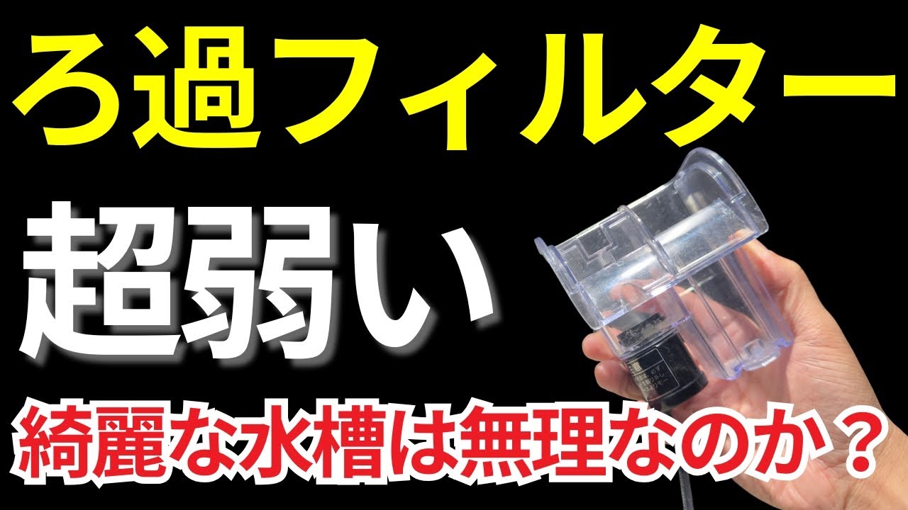 水槽が汚い!! ろ過フィルターを増設せずに綺麗にする方法 - YouTube