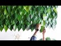 Betel Leaf Decoration Ideas | Ganapati Decoration Ideas Low budget traditional Leaf Decoration