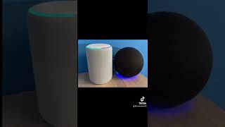Scary Things You Should Never Ask Alexa #Shorts