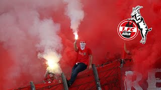 FC Köln Ultras BEST MOMENTS | Wilde Horde & Coloniacs Highlights