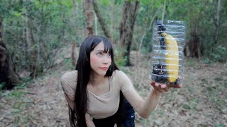 ペットボトルトラップでカブトムシ激とれすぎた