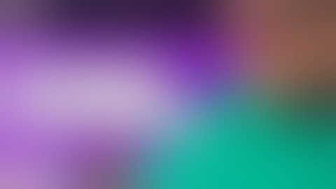 Scrog School Community Highlights