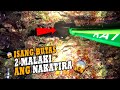 Isang butas 2 malaki nakatira   episode 161  night spearfishing philippines   drins adventure