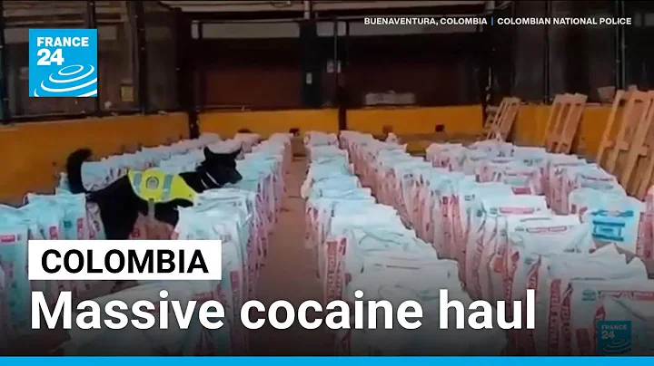 14 tonnes of cocaine seized in Colombia, as Petro rejects US criticism • FRANCE 24 English