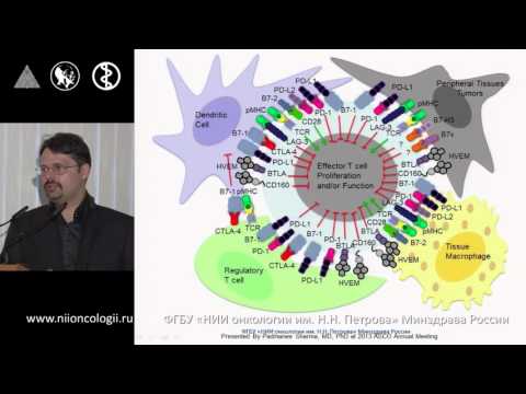 Video: Fremskridt Inden For Immunterapi Mod Melanom