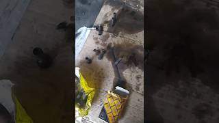 Tofaş Dereceli̇ Eksantri̇k