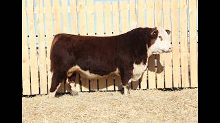 Lot 31 Rem 181M
