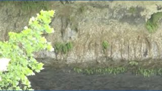 Hamilton Pool closed due to flash flood damage