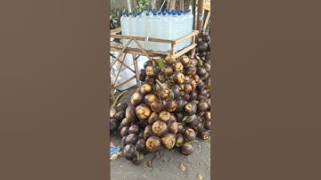 Nemu Jual buah Lontar di Pinggir Jalan #lontar #buahliar #jualanbuah #penjualbuah