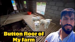 Batten floor of my farm | #sheepfarming #viral | @ovaisreshivlogs