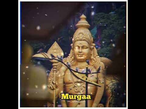 then palani thedi murgaa songs - YouTube Music