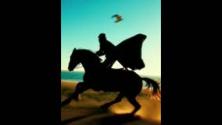 Tierra y fuego... #mindfulness #horse #wildlife #relaxingmusic #sunset #nature #animals #cute #love