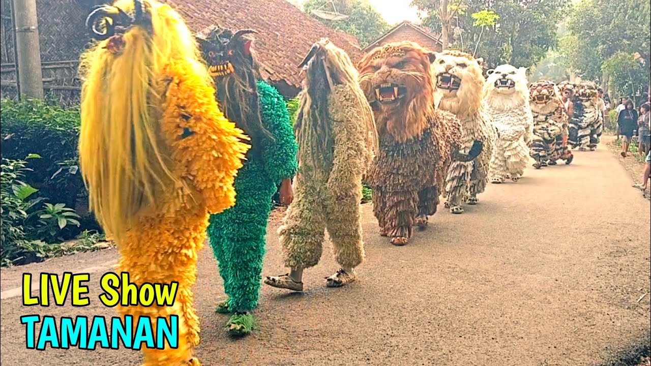 Kirab Seru Can Macanan Singo Raung Bersama Drumband Al Azhar 🔴 LIVE Tamanan