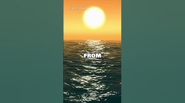 If Gravity Disappeared for 5 Seconds... Here