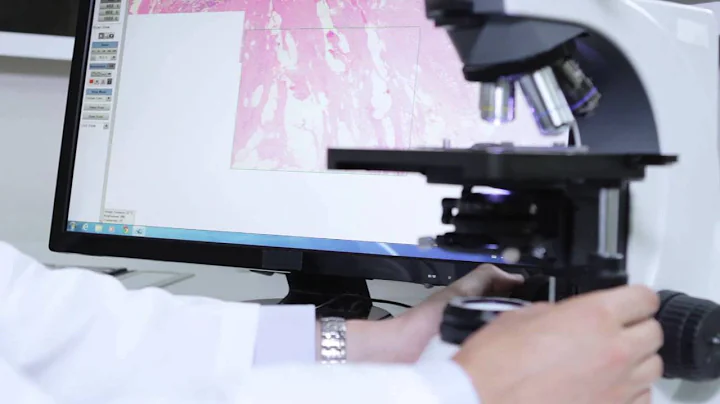 ViewsIQ - Panoptiq General Video