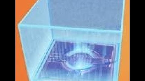 All about the Mutator zone!