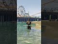 This Water Bug Doesn't Make Much Sense #gta5 #gtav #gtaonline