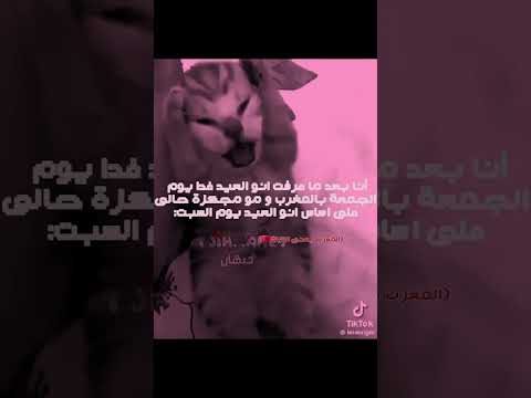 سدمة ابلور ستايلزي  تاكيز  سويتز  لوريز  اهميه