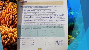 Class _ 3 Chapter _ 17 Punctuation #by Sarika Khare