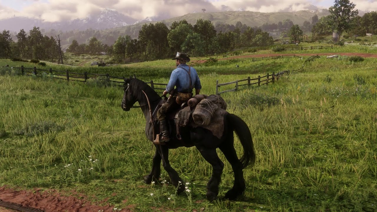 VOLTANDO PARA O ACAMPAMENTO - RDR2