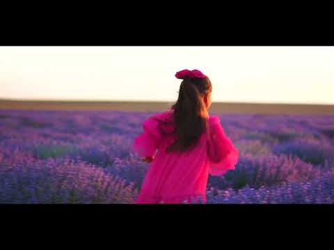 Лавандулово поле Your Purple