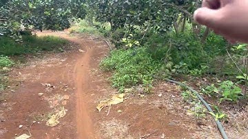 Bán 3 sào đất vườn bưởi xã láng lớn huyện châu Đức tỉnh bà rịa Vũng tàu